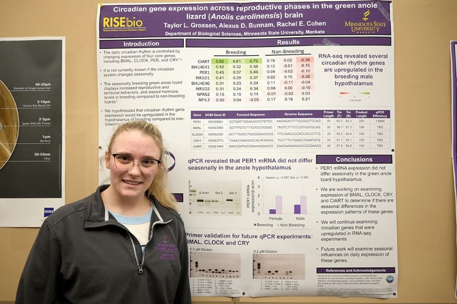 Taylor Grossen posing in front of her research presentation poster hanging on the wall