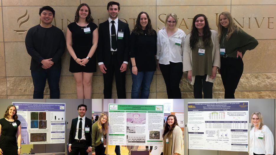 Members of Dr. Cohen's research lab posing at the 2022 Undergraduate Research Symposium