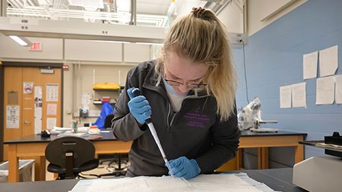 Taylor Grossen working with a Pipette in Dr. Rachel Cohen's lab