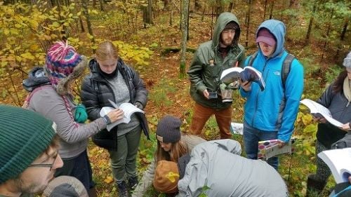 students outside on campus looking for specific types of flora to identify in textbook