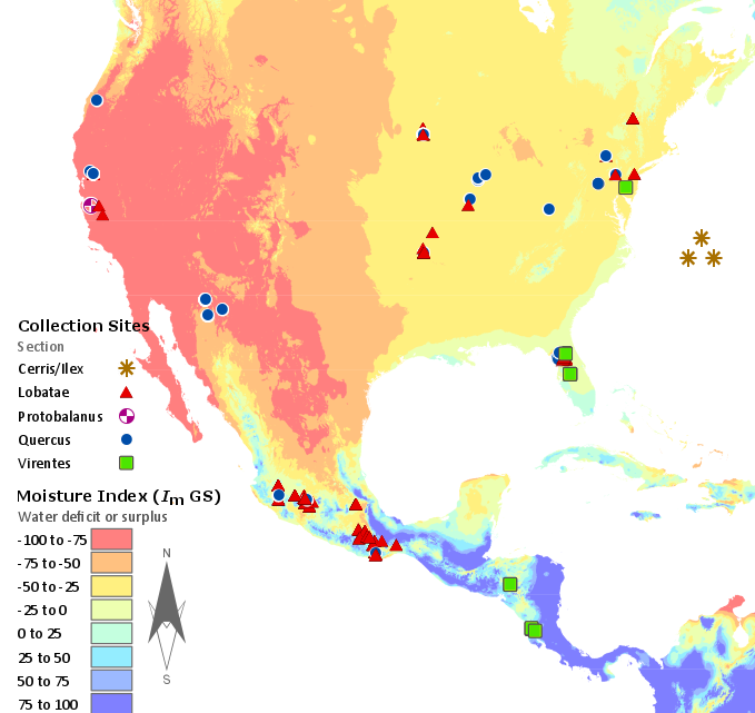 Quercus seedling and Index of Moisture