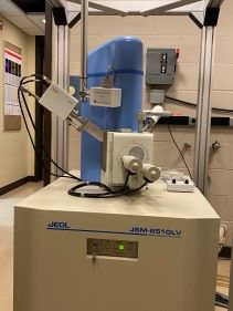 A JEOL scanning electron microscope in the Biological Imaging Facility