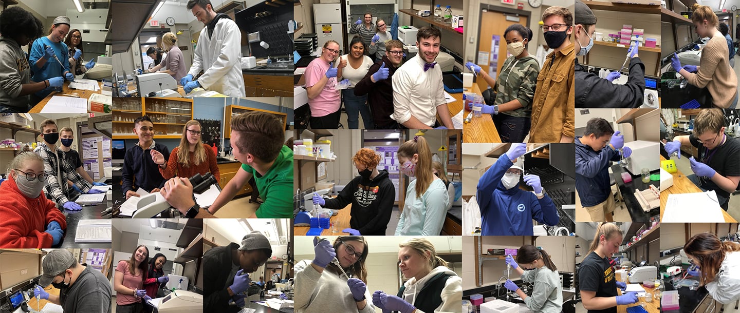 RISEbio photos of students working in the lab made into a collage