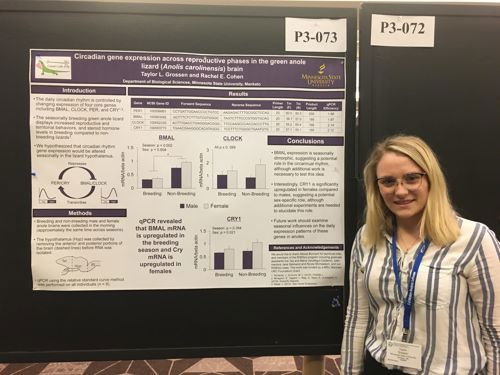 Dr. Rachel Cohen and Dr. Michael Minicozzi research labs being presented at the Annual Meeting of the of the Society for Integrative and Comparative Biology (SICB) by Taylor Grossen