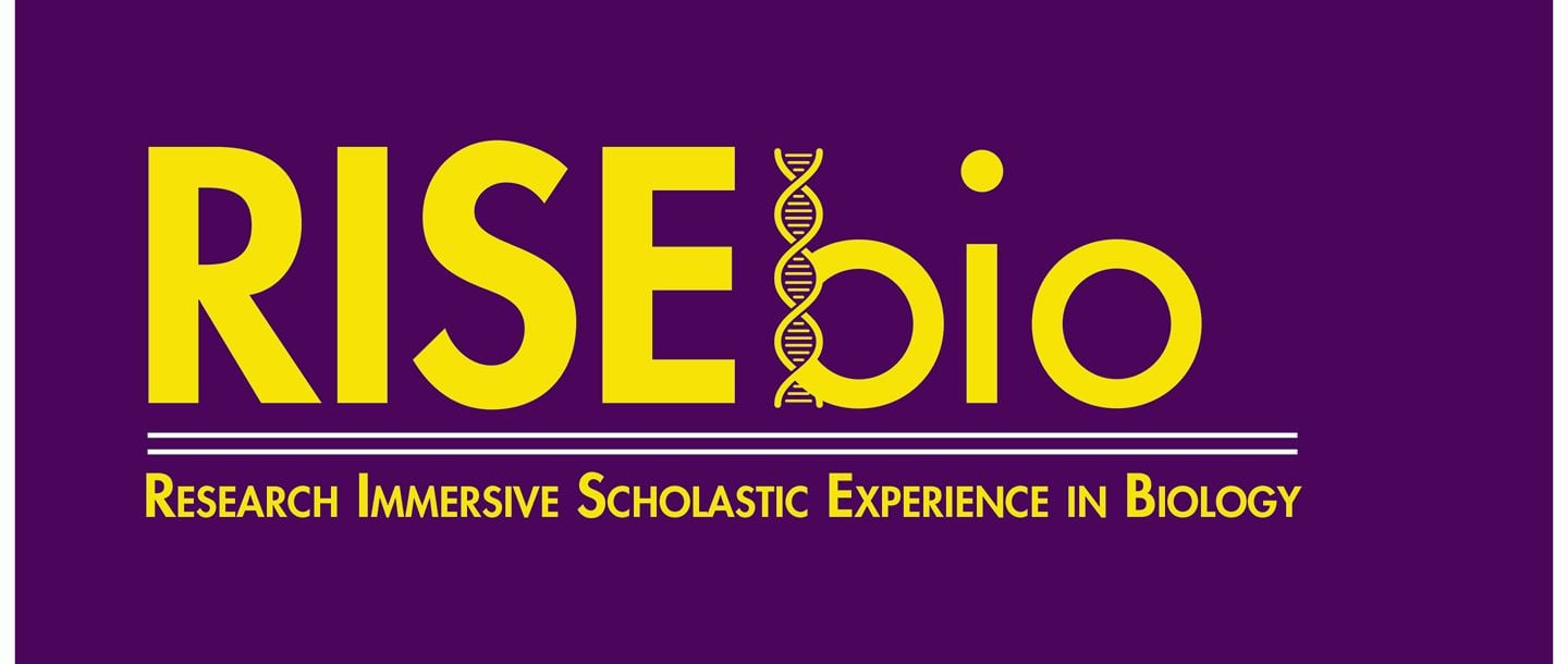 RISEbio wordmark research immersive scholastic experience in Biology