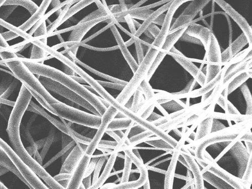 SEM image of self-assembly of PCL nano fibers